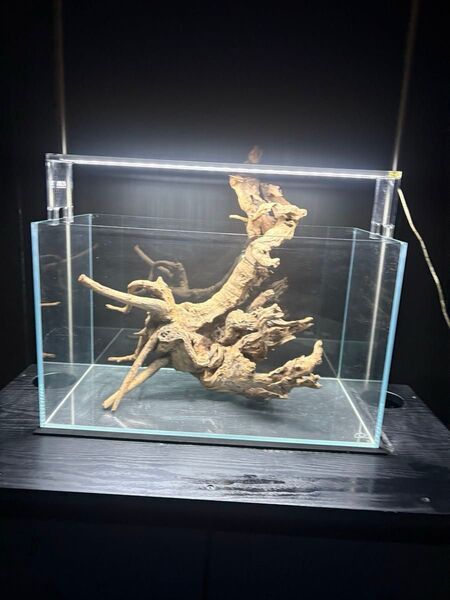 ADAアクアスカイG601