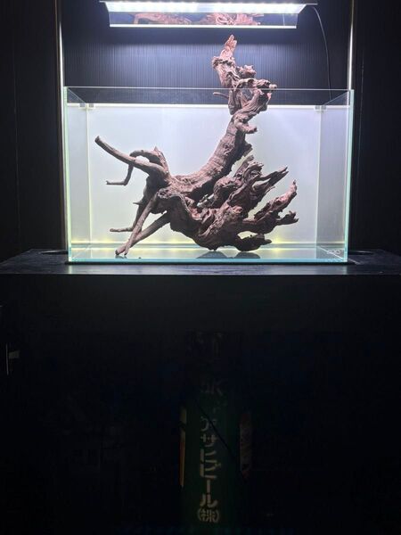 ADA ライトスクリーン60