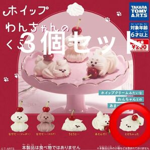 ホイップわんちゃんのくらし とけちゃった3個セット
