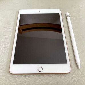 iPad mini 第5世代 64GB 2019年春モデル 7.9インチ Apple ペンシル付き
