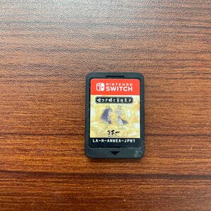 中古 Nintendo Switch 嘘つき姫と盲目王子 ソフトのみ