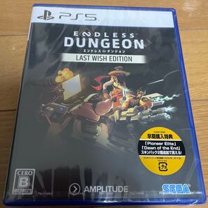 未開封品 PS5 ENDLESS DUNGEON LAST WISH EDITION 早期購入特典付き