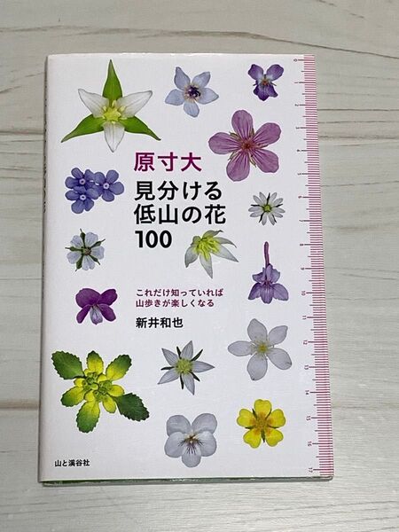 原寸大 見分ける低山の花100 山と渓谷社