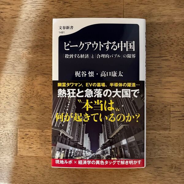 ピークアウトする中国 「殺到する経済」と「合理的バブル」の限界 (文春新書 1481) 梶谷懐/著 高口康太/著