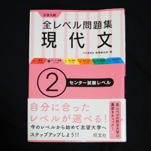大学入試全レベル問題集現代文 2 梅澤眞由起/著