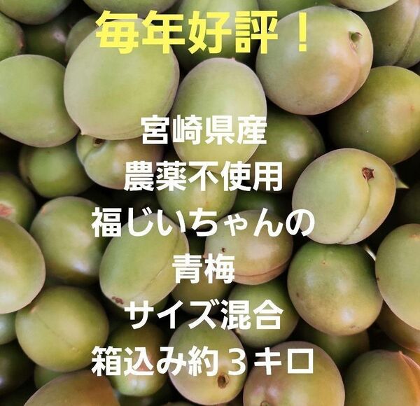 ●毎年好評 宮崎県産 無農薬 福じいちゃんの青梅 サイズ混合 箱込み約3キロ