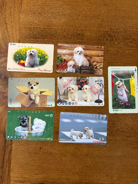 使用済みテレカ テレフォンカード 子犬 わんちゃん