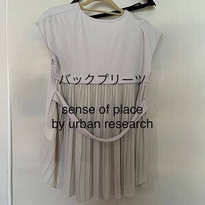 バックプリーツカットソー