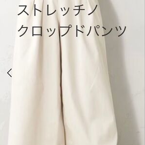 ストレッチノ クロップドパンツ