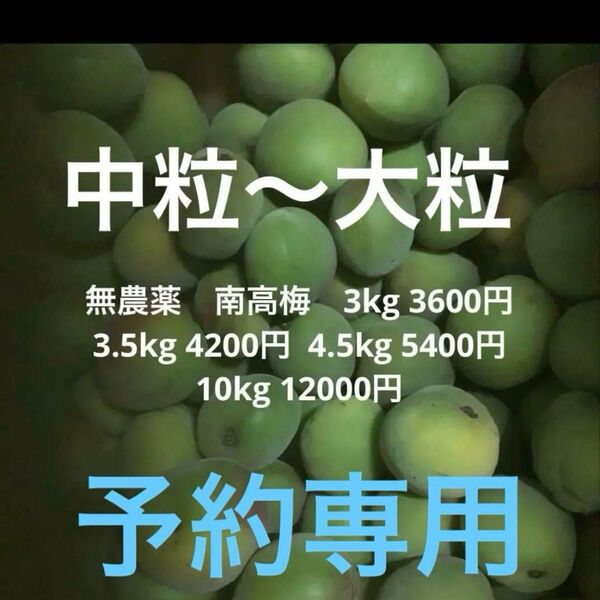 追加予約停止中 無農薬 南高梅 4.5kg 5400円 3.5kg 4200円 3kg 3600円 10kg 12000円