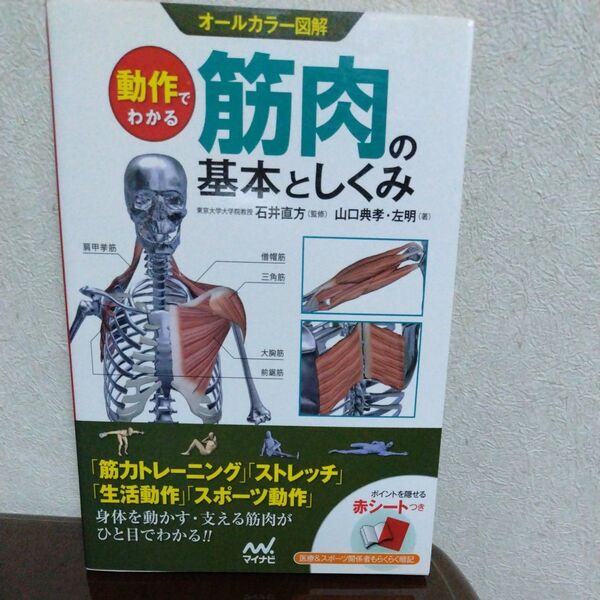 動作でわかる筋肉の基本としくみ オールカラー図解 (オールカラー図解) 石井直方/監修 山口典孝/著 左明/著
