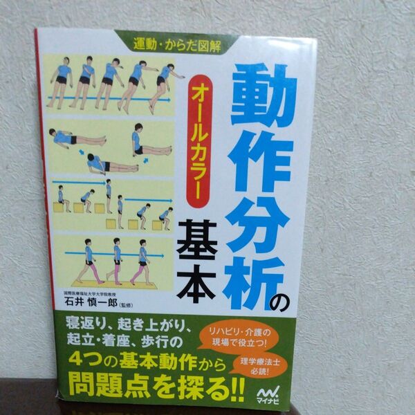 動作分析の基本 オールカラー (運動・からだ図解) 石井慎一郎/監修