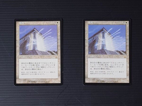 MTG マジックザギャザリング 補充 日本語版2枚セット 再録禁止