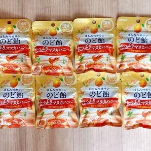 ロッテ はちみつカリンのど飴〈たっぷりマヌカハニー〉ミニパック 26gx8袋