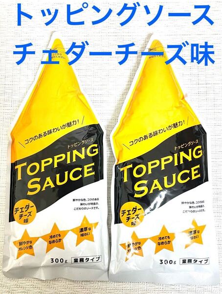2個 トッピングソースチェダーチーズ味 300g ニップン