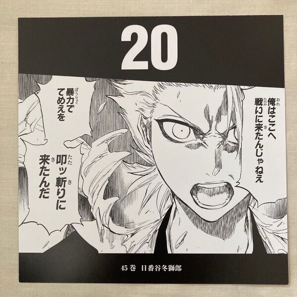 BLEACH イラスト集 JET カレンダー 日番谷冬獅郎 グリムジョー 黒崎一護 のみ