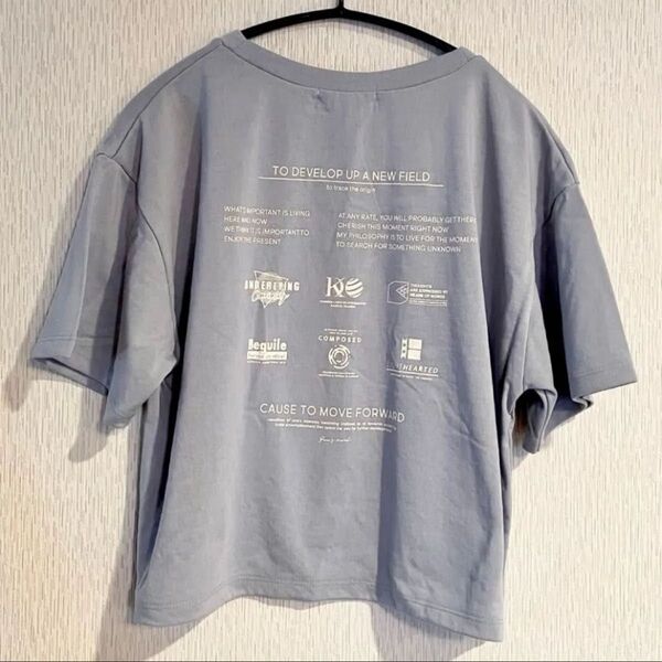 フリーズマート バックプリント Tシャツ 短丈 くすみブルー