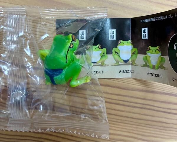 蛙力士 小結 アマガエル② フィギュア ガチャ