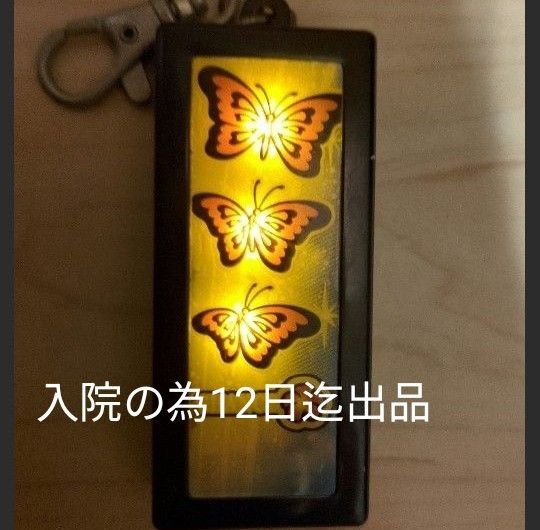 南国育ち サウンドキーホルダー ストラップ 光る 鳴る