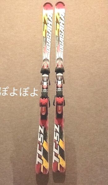 【処分セール】オガサカ OGASAKA TC-SZ 170㎝ 値下げ不可