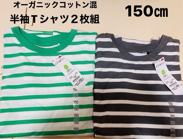 半袖Tシャツ 150㎝ 2枚組 ボーダー オーガニックコットン 男女 双子 半袖 Tシャツ 綿100% 夏 男の子 女の子 キッズ