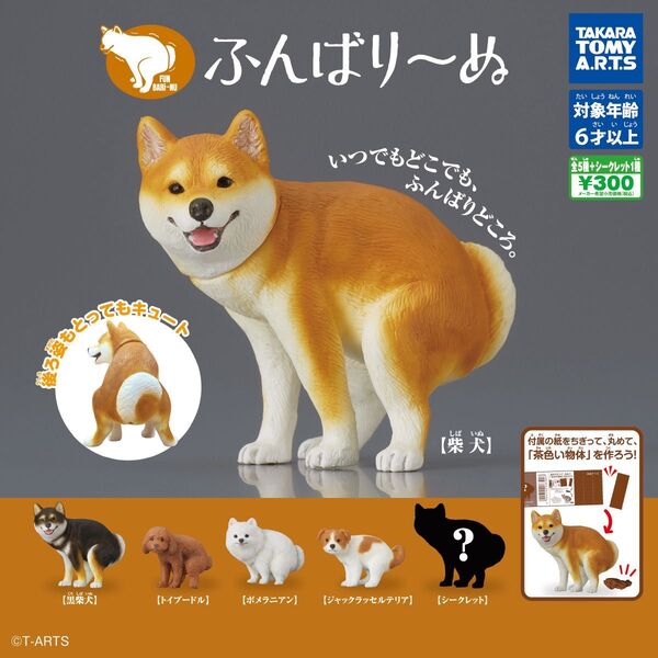 ふんばり〜ぬ ガチャ セミコンプ シークレットなし フィギュア