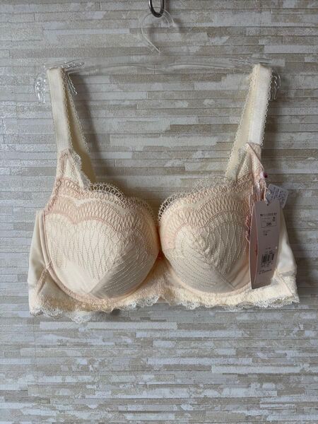 「D85」トリンプ フロラーレ ストレリチア極楽鳥花 ブラジャー