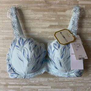 「D75」トリンプ プレミアム ゴールドレーベル 草木根の美 ブラジャー