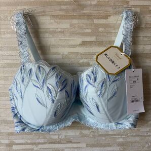 「E75」トリンプ プレミアム ゴールドレーベル 草木根の美 ブラジャー