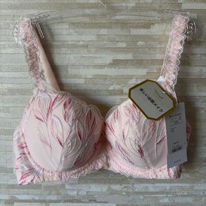 「C75」トリンプ プレミアム ゴールドレーベル 草木根の美 ブラジャー
