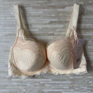 「D85」トリンプ フロラーレ ストレリチア極楽鳥花 ブラジャー