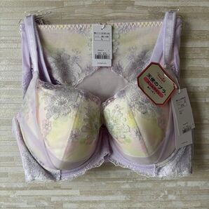 E75L」トリンプ レッドレーベル天使ブラ スリムライン コスモス花ブラショーツ