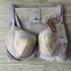 E80L」トリンプ レッドレーベル天使ブラ スリムライン コスモス花ブラショーツ