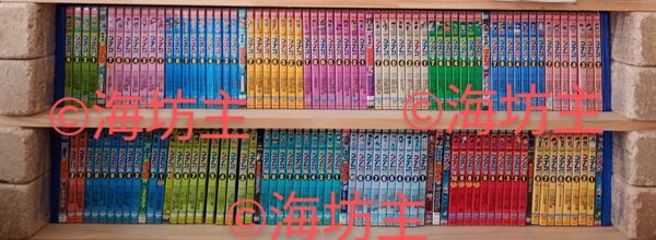 ●名探偵コナン P1から29+SECRETFILE DVD 各全巻まとめてセット 青山剛昌