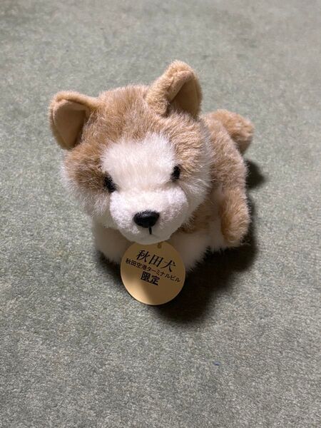 秋田犬 ぬいぐるみ 秋田空港ターミナル限定