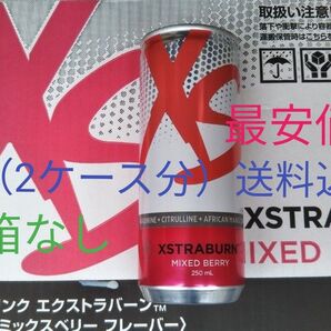 2ケース分(48本)Xsエナジードリンク エクストラバーン ミックスベリー アムウェイ 賞味期限7ヶ月以上!