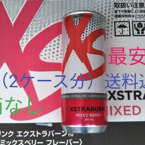 2ケース分(48本)Xsエナジードリンク エクストラバーン ミックスベリー アムウェイ 賞味期限8ヶ月以上!