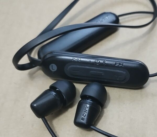 SONY WI-C100 ワイヤレスイヤホン