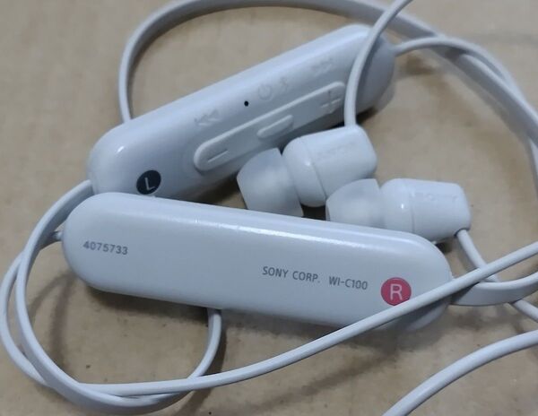 SONY WI-C100 ワイヤレスイヤホン 訳あり品