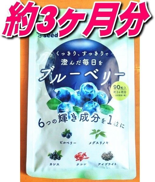 目に良い栄養素ブルーベリー約3か月分サプリメント約シードコムス 推しクーポンでお得