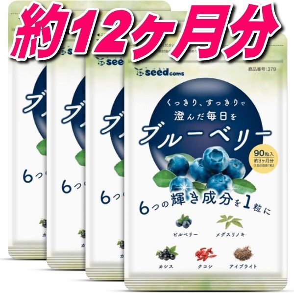 目に良い栄養素ブルーベリー約12か月分 1年分=3カ月×4袋 サプリメント シードコムス 推しクーポンでお得