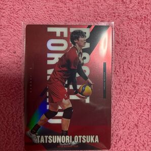 JAPAN NATIONAL VOLLEYBALL TEAM ツインウエハース 大塚達宣 ノーマル