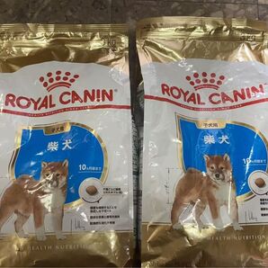 ロイヤルカナン 柴犬子犬(生後10ヶ月まで)3kg BHN 子犬用 ドッグフード ドライ 3kg×2袋