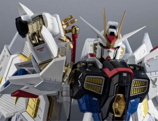 【輸送箱未開封品】超合金 マイティーストライクフリーダムガンダム 魂ウェブ商店限定 機動戦士ガンダムSEED FREEDOM