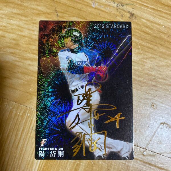 カルビー プロ野球チップス スターカード 陽岱鋼サイン入り