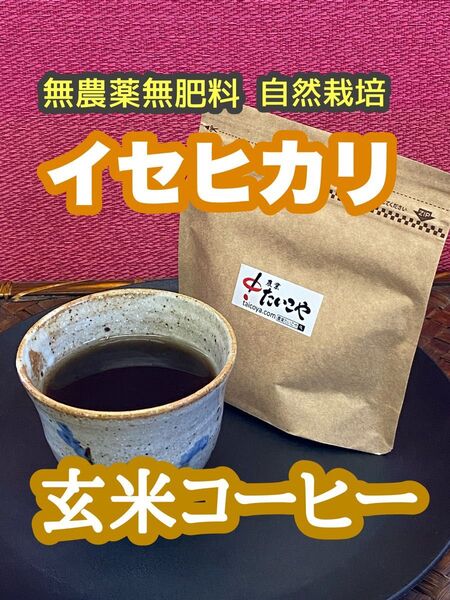 【玄米コーヒー】粉末100g 無農薬無肥料自然栽培イセヒカリのみ使用 土鍋焙煎