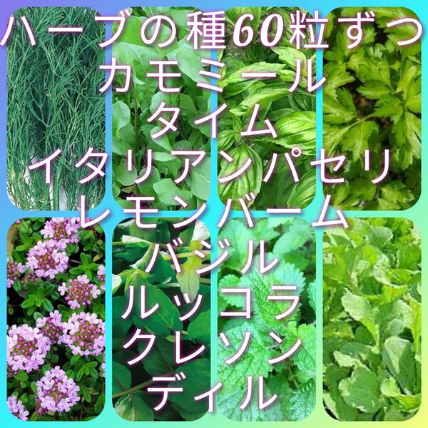 ハーブの種