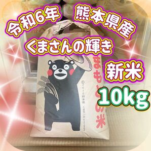 くまさんの輝き 10kg 令和6年熊本県産