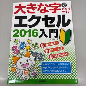 大きな字でわかりやすいエクセル2016入門