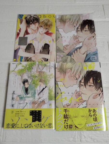 アバウトアラブソング カタコイシーソー 夏野寛子 宮田トヲル BL 特典 小冊子 アニメイト